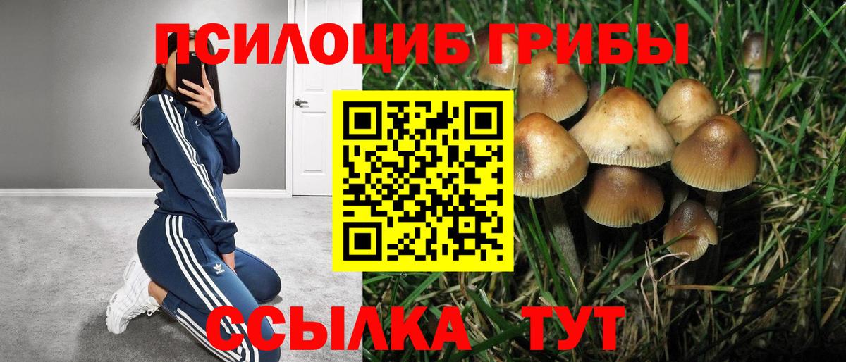 Галлюциногенные грибы GOLDEN TEACHER Бор