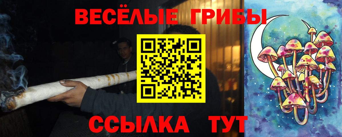 Галлюциногенные грибы Psilocybine cubensis  Вход с VPN  Бор 